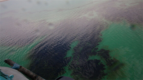 شناسایی آلودگی نفتی خلیج فارس با تصاویر ماهواره‌ای